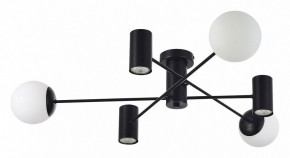 Потолочная люстра EVOLUCE Raito SLE1105-402-06 в Можге - mozhga.mebel24.online | фото 2