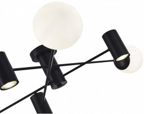 Потолочная люстра EVOLUCE Raito SLE1105-402-06 в Можге - mozhga.mebel24.online | фото 3