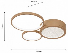 Потолочная люстра F-promo Campus 4681-3C в Можге - mozhga.mebel24.online | фото 7