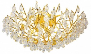 Потолочная люстра Favourite Pluvia 4162-10C в Можге - mozhga.mebel24.online | фото 2