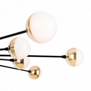 Потолочная люстра Freya Celebrity FR5242CL-16B в Можге - mozhga.mebel24.online | фото 6