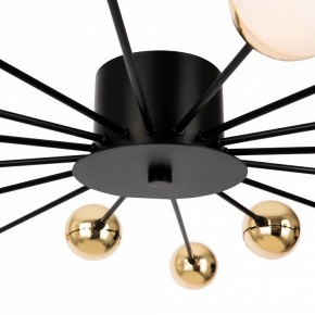 Потолочная люстра Freya Celebrity FR5242CL-16B в Можге - mozhga.mebel24.online | фото 8