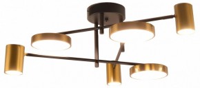 Потолочная люстра Kink Light Рапис 07645-6D,19(20) в Можге - mozhga.mebel24.online | фото