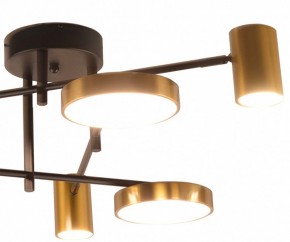 Потолочная люстра Kink Light Рапис 07645-6D,19(20) в Можге - mozhga.mebel24.online | фото 2