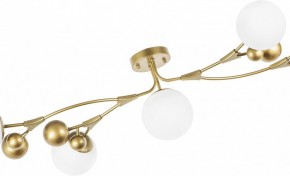Потолочная люстра Lightstar Croco 815553 в Можге - mozhga.mebel24.online | фото 6