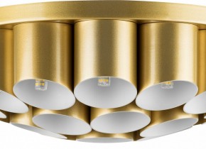 Потолочная люстра Lightstar Siena 720222 в Можге - mozhga.mebel24.online | фото 3