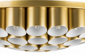 Потолочная люстра Lightstar Siena 720402 в Можге - mozhga.mebel24.online | фото 3