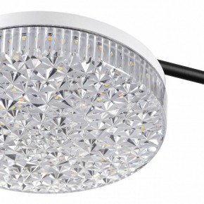 Потолочная люстра Lumion Didana 8236/4CL в Можге - mozhga.mebel24.online | фото 10