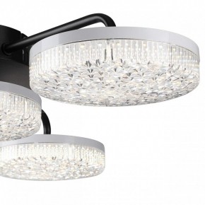 Потолочная люстра Lumion Didana 8236/4CL в Можге - mozhga.mebel24.online | фото 7