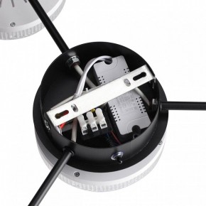 Потолочная люстра Lumion Didana 8236/4CL в Можге - mozhga.mebel24.online | фото 9