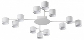 Потолочная люстра Lumion Gareta 8235/12C в Можге - mozhga.mebel24.online | фото