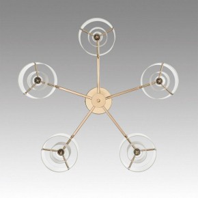 Потолочная люстра Lumion Verdi 6587/5C в Можге - mozhga.mebel24.online | фото 4