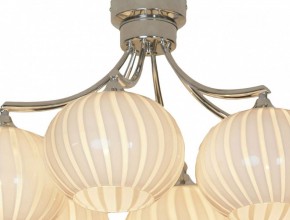 Потолочная люстра Lussole Cesano GRLSF-7203-06 в Можге - mozhga.mebel24.online | фото 5