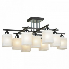 Потолочная люстра Lussole Costanzo LSL-9007-09 в Можге - mozhga.mebel24.online | фото 2