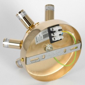 Потолочная люстра Lussole Davie LSP-8782 в Можге - mozhga.mebel24.online | фото 4