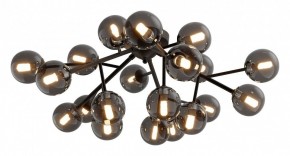 Потолочная люстра Maytoni Dallas MOD545CL-20B в Можге - mozhga.mebel24.online | фото 2
