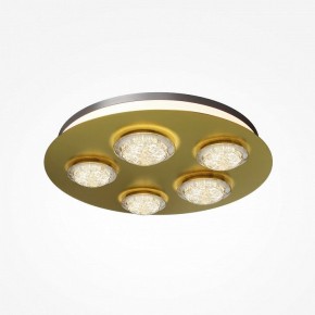 Потолочная люстра Maytoni Pharao MOD361CL-L58BS3K в Можге - mozhga.mebel24.online | фото
