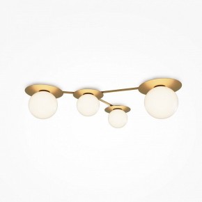 Потолочная люстра Maytoni Star sky MOD291CL-04BS в Можге - mozhga.mebel24.online | фото 2