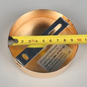 Потолочная люстра Omnilux Acuto OML-67007-06 в Можге - mozhga.mebel24.online | фото 8