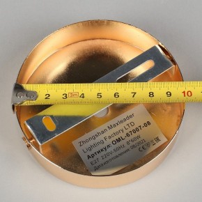 Потолочная люстра Omnilux Acuto OML-67007-08 в Можге - mozhga.mebel24.online | фото 8