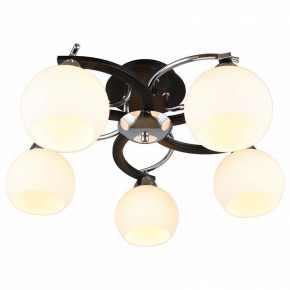 Потолочная люстра Omnilux Caldiero OML-25407-05 в Можге - mozhga.mebel24.online | фото 2