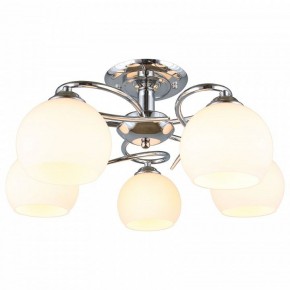 Потолочная люстра Omnilux Casoria OML-25107-05 в Можге - mozhga.mebel24.online | фото 2