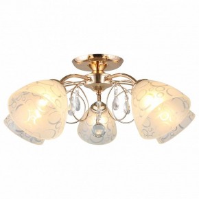 Потолочная люстра Omnilux Castellaro OML-29007-05 в Можге - mozhga.mebel24.online | фото 2