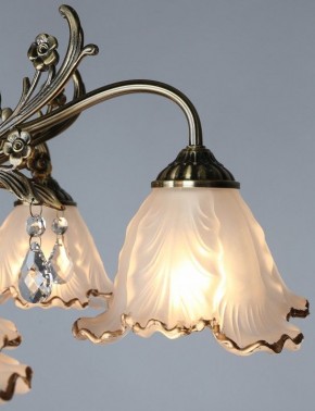 Потолочная люстра Omnilux Petrara OML-54807-05 в Можге - mozhga.mebel24.online | фото 3