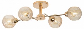 Потолочная люстра Rivoli Amalia Б0050815 в Можге - mozhga.mebel24.online | фото 2