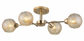 Потолочная люстра Rivoli Amalia Б0050815 в Можге - mozhga.mebel24.online | фото 3