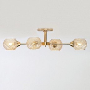 Потолочная люстра Rivoli Amalia Б0050815 в Можге - mozhga.mebel24.online | фото 4