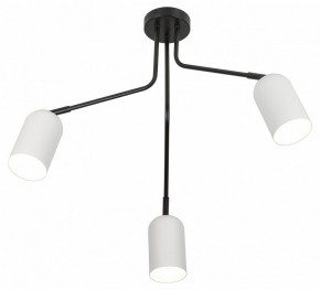 Потолочная люстра Rivoli Rosalinda Б0064987 в Можге - mozhga.mebel24.online | фото 4