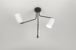 Потолочная люстра Rivoli Rosalinda Б0064987 в Можге - mozhga.mebel24.online | фото 7