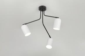 Потолочная люстра Rivoli Rosalinda Б0064987 в Можге - mozhga.mebel24.online | фото 8