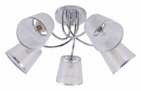 Потолочная люстра Rivoli Shirley Б0059982 в Можге - mozhga.mebel24.online | фото