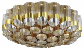 Потолочная люстра ST-Luce Accord SL1662.302.19 в Можге - mozhga.mebel24.online | фото 2