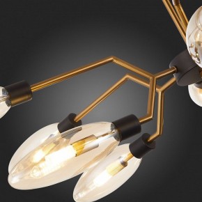 Потолочная люстра ST-Luce Desima SL1174.303.12 в Можге - mozhga.mebel24.online | фото 10