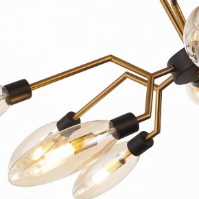 Потолочная люстра ST-Luce Desima SL1174.303.12 в Можге - mozhga.mebel24.online | фото 11