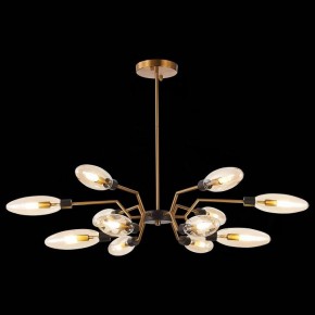 Потолочная люстра ST-Luce Desima SL1174.303.12 в Можге - mozhga.mebel24.online | фото 2