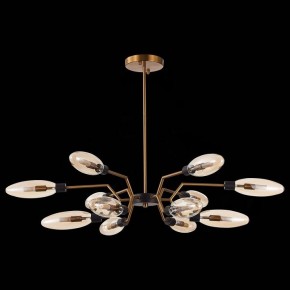 Потолочная люстра ST-Luce Desima SL1174.303.12 в Можге - mozhga.mebel24.online | фото 4