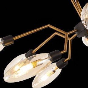 Потолочная люстра ST-Luce Desima SL1174.303.12 в Можге - mozhga.mebel24.online | фото 9