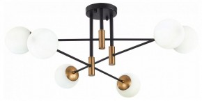 Потолочная люстра ST-Luce Limano SL1203.402.06 в Можге - mozhga.mebel24.online | фото 2