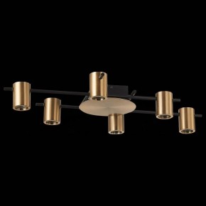 Потолочная люстра ST-Luce Veroli SL1207.402.06 в Можге - mozhga.mebel24.online | фото 2