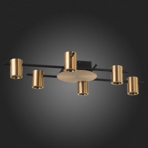 Потолочная люстра ST-Luce Veroli SL1207.402.06 в Можге - mozhga.mebel24.online | фото 4
