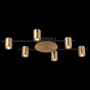 Потолочная люстра ST-Luce Veroli SL1207.402.06 в Можге - mozhga.mebel24.online | фото 5