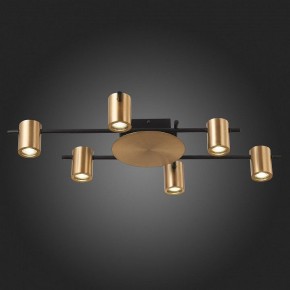 Потолочная люстра ST-Luce Veroli SL1207.402.06 в Можге - mozhga.mebel24.online | фото 6