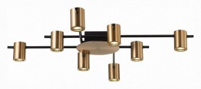 Потолочная люстра ST-Luce Veroli SL1207.402.08 в Можге - mozhga.mebel24.online | фото 2