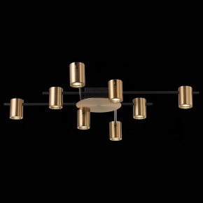 Потолочная люстра ST-Luce Veroli SL1207.402.08 в Можге - mozhga.mebel24.online | фото 4