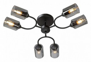 Потолочная люстра Vitaluce V2823 V2823-1/6PL в Можге - mozhga.mebel24.online | фото 2