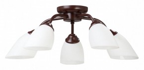 Потолочная люстра Vitaluce V3184 V3252/5PL в Можге - mozhga.mebel24.online | фото